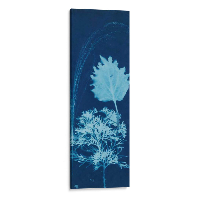 Cyanotype No.13 - Jenna Guthrie | Cuadro decorativo de Canvas Lab