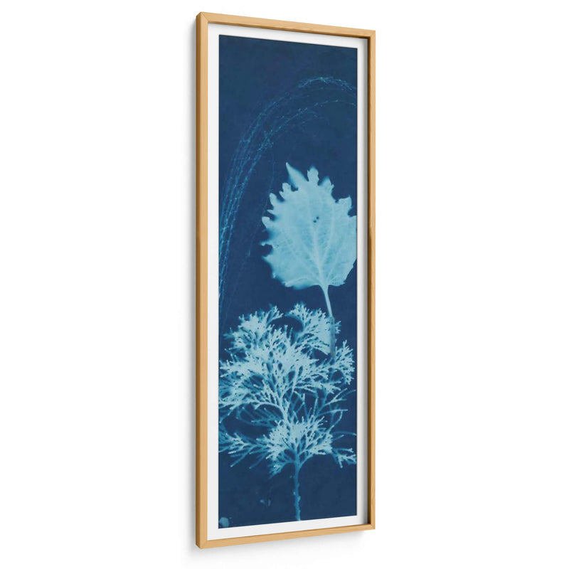 Cyanotype No.13 - Jenna Guthrie | Cuadro decorativo de Canvas Lab