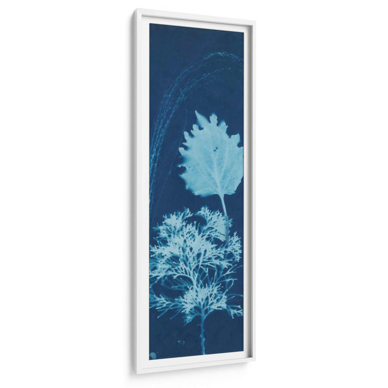 Cyanotype No.13 - Jenna Guthrie | Cuadro decorativo de Canvas Lab