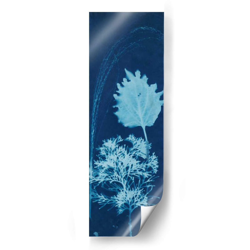 Cyanotype No.13 - Jenna Guthrie | Cuadro decorativo de Canvas Lab