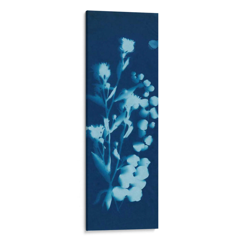 Cyanotype No.14 - Jenna Guthrie | Cuadro decorativo de Canvas Lab