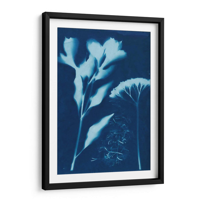 Cyanotype No.15 - Jenna Guthrie | Cuadro decorativo de Canvas Lab