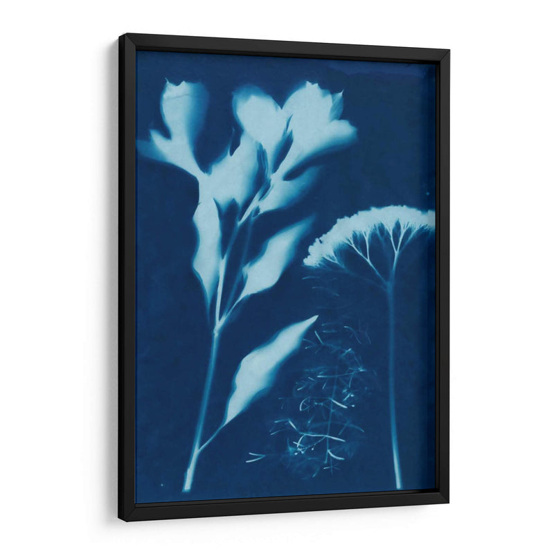 Cyanotype No.15 - Jenna Guthrie | Cuadro decorativo de Canvas Lab