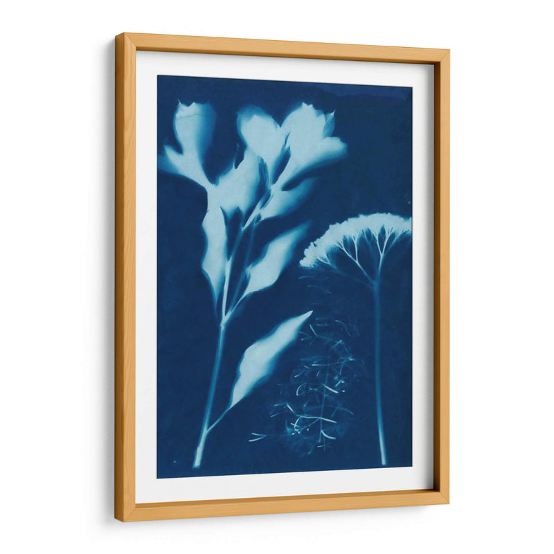 Cyanotype No.15 - Jenna Guthrie | Cuadro decorativo de Canvas Lab