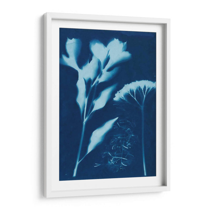 Cyanotype No.15 - Jenna Guthrie | Cuadro decorativo de Canvas Lab