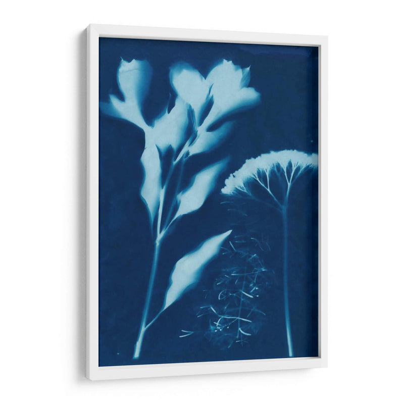 Cyanotype No.15 - Jenna Guthrie | Cuadro decorativo de Canvas Lab