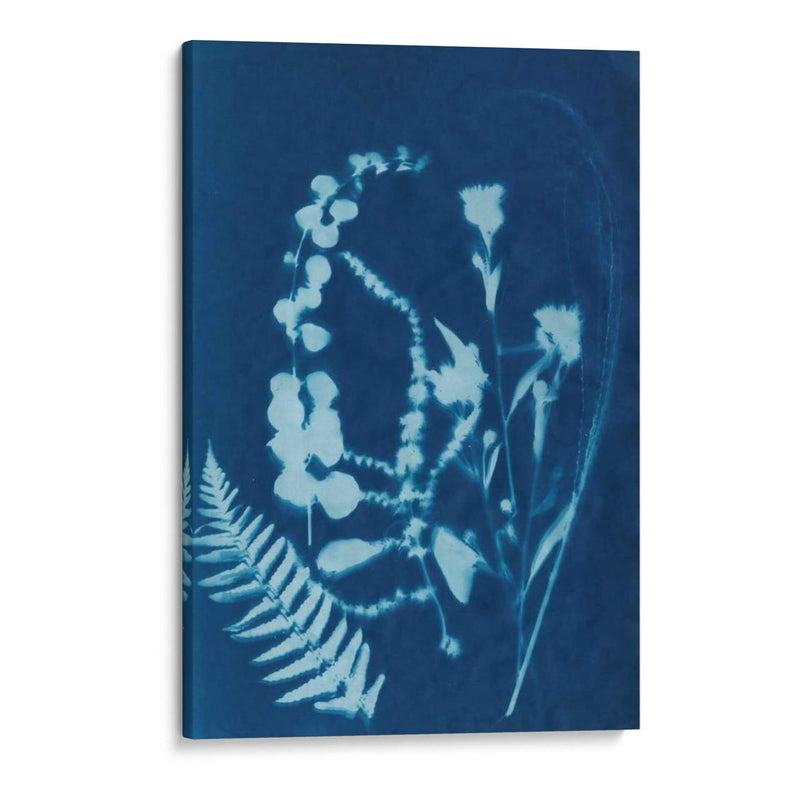 Cyanotype No.16 - Jenna Guthrie | Cuadro decorativo de Canvas Lab