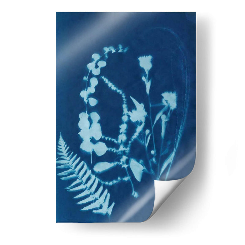 Cyanotype No.16 - Jenna Guthrie | Cuadro decorativo de Canvas Lab