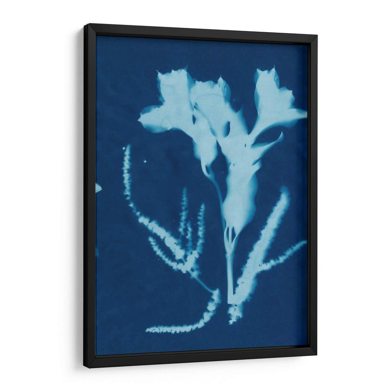 Cyanotype No.17 - Jenna Guthrie | Cuadro decorativo de Canvas Lab