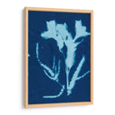 Cyanotype No.17 - Jenna Guthrie | Cuadro decorativo de Canvas Lab