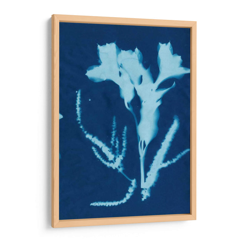 Cyanotype No.17 - Jenna Guthrie | Cuadro decorativo de Canvas Lab