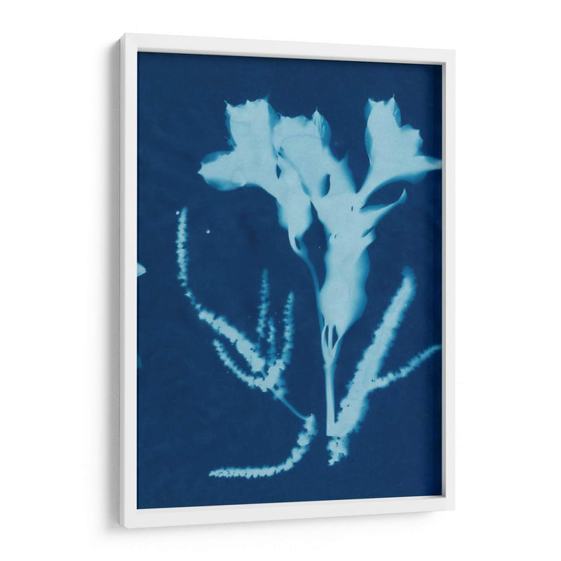 Cyanotype No.17 - Jenna Guthrie | Cuadro decorativo de Canvas Lab