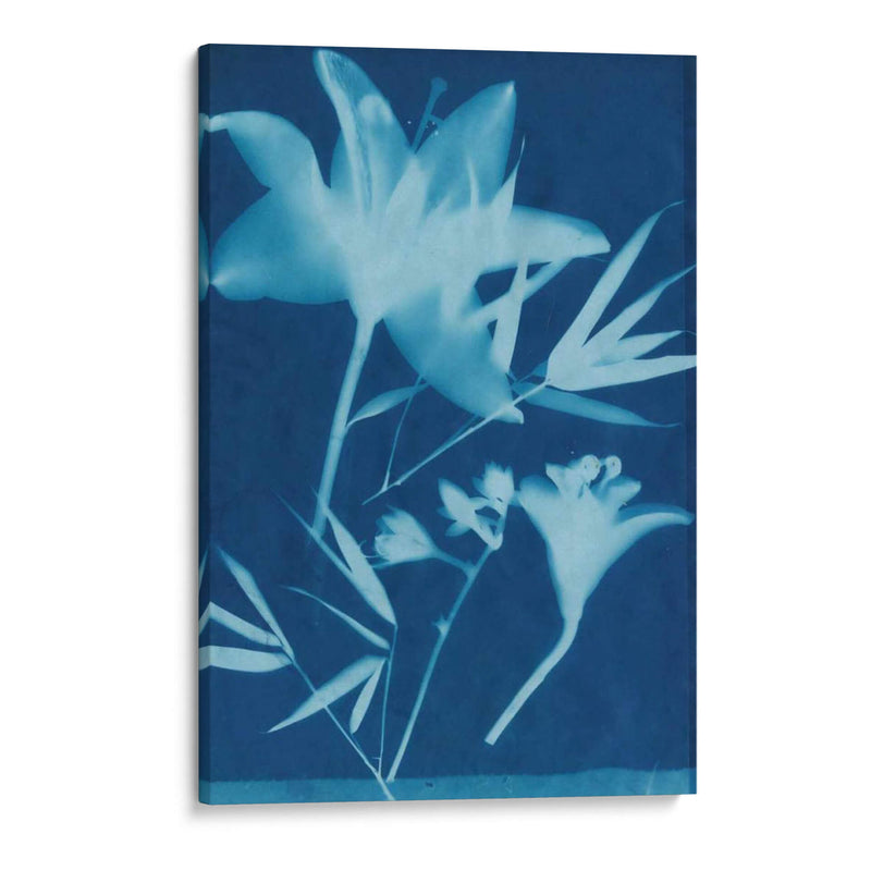 Cyanotype No.18 - Jenna Guthrie | Cuadro decorativo de Canvas Lab