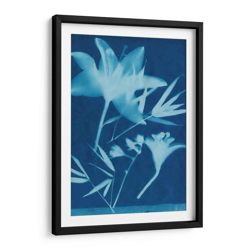 Cyanotype No.18 - Jenna Guthrie | Cuadro decorativo de Canvas Lab