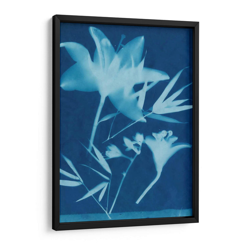 Cyanotype No.18 - Jenna Guthrie | Cuadro decorativo de Canvas Lab