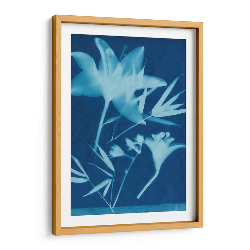 Cyanotype No.18 - Jenna Guthrie | Cuadro decorativo de Canvas Lab