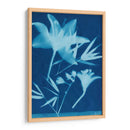 Cyanotype No.18 - Jenna Guthrie | Cuadro decorativo de Canvas Lab