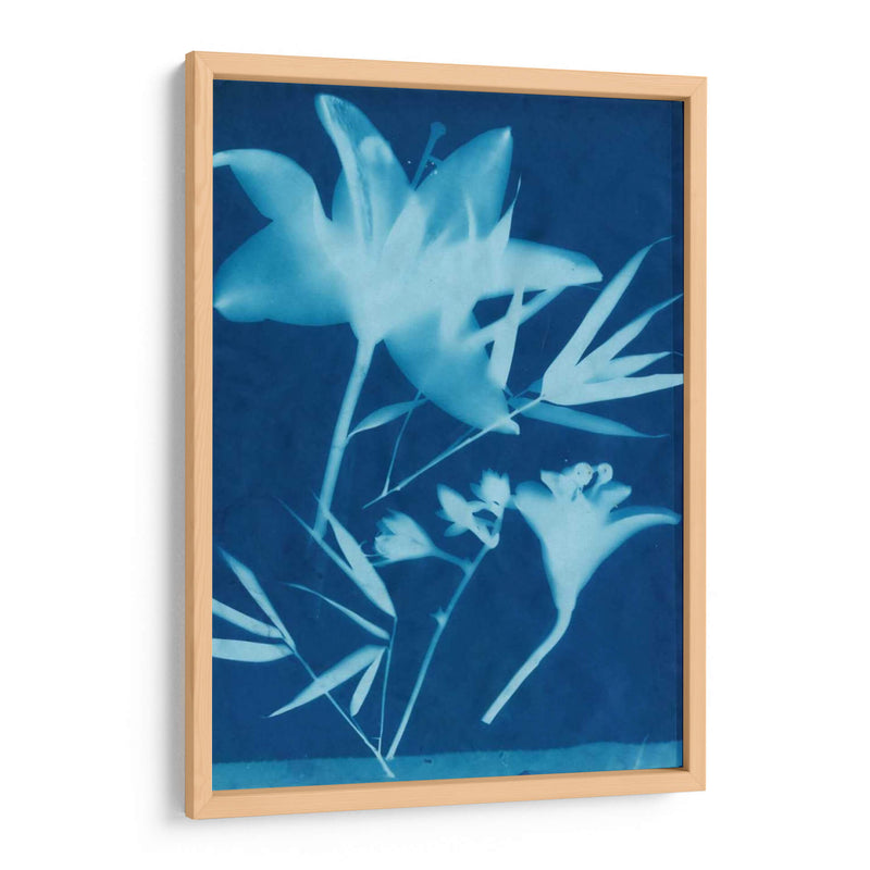 Cyanotype No.18 - Jenna Guthrie | Cuadro decorativo de Canvas Lab