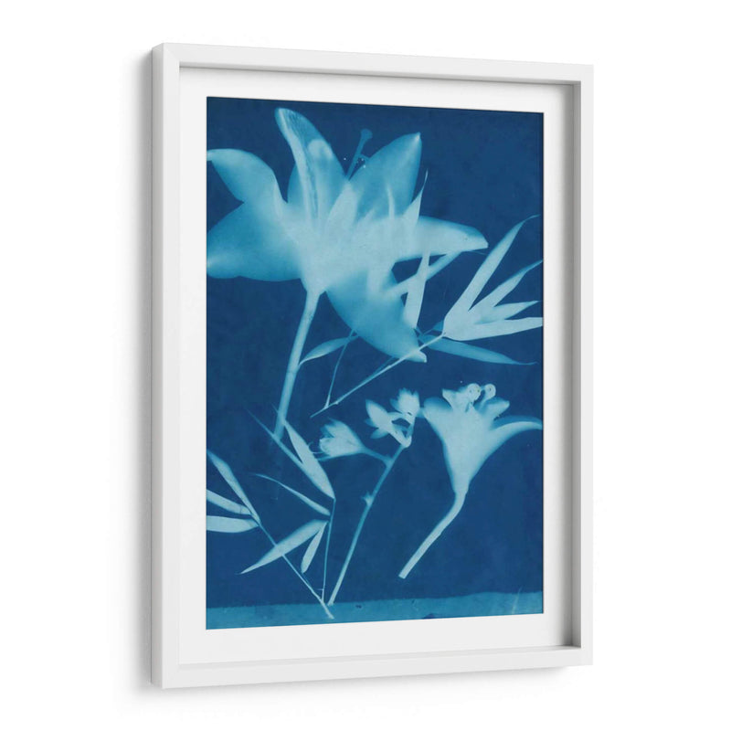 Cyanotype No.18 - Jenna Guthrie | Cuadro decorativo de Canvas Lab