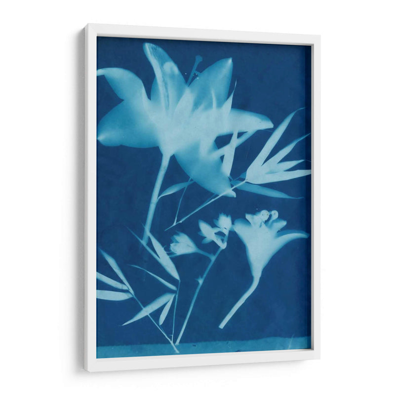 Cyanotype No.18 - Jenna Guthrie | Cuadro decorativo de Canvas Lab