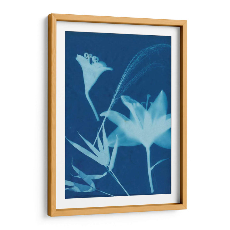 Cyanotype No.19 - Jenna Guthrie | Cuadro decorativo de Canvas Lab