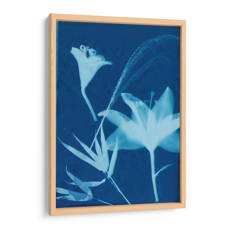 Cyanotype No.19 - Jenna Guthrie | Cuadro decorativo de Canvas Lab