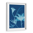 Cyanotype No.19 - Jenna Guthrie | Cuadro decorativo de Canvas Lab