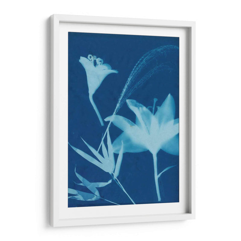 Cyanotype No.19 - Jenna Guthrie | Cuadro decorativo de Canvas Lab