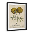 Guía Jardineros V | Cuadro decorativo de Canvas Lab