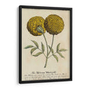 Guía Jardineros V | Cuadro decorativo de Canvas Lab