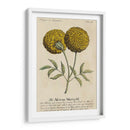 Guía Jardineros V | Cuadro decorativo de Canvas Lab