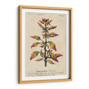 Guía Jardineros VI | Cuadro decorativo de Canvas Lab