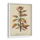 Guía Jardineros VI | Cuadro decorativo de Canvas Lab