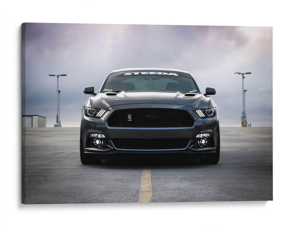 Mustang Shelby Cobra negro | Cuadro decorativo de Canvas Lab