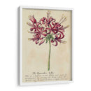 Guía Jardineros VII | Cuadro decorativo de Canvas Lab