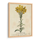 Guía Jardineros VIII | Cuadro decorativo de Canvas Lab