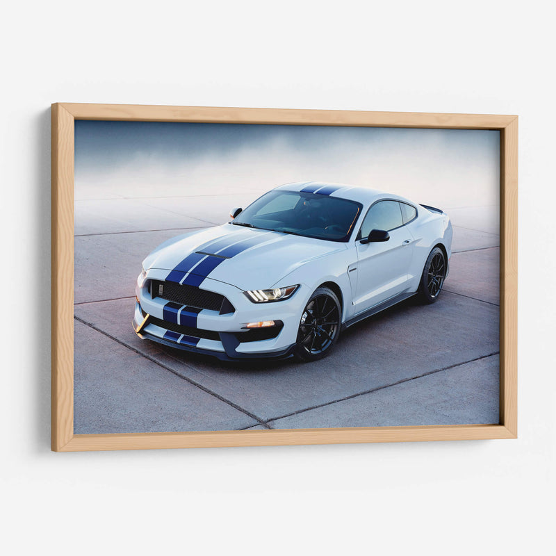 Mustang Shelby Cobra | Cuadro decorativo de Canvas Lab
