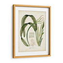 Hierba Tropical I - Vision Studio | Cuadro decorativo de Canvas Lab