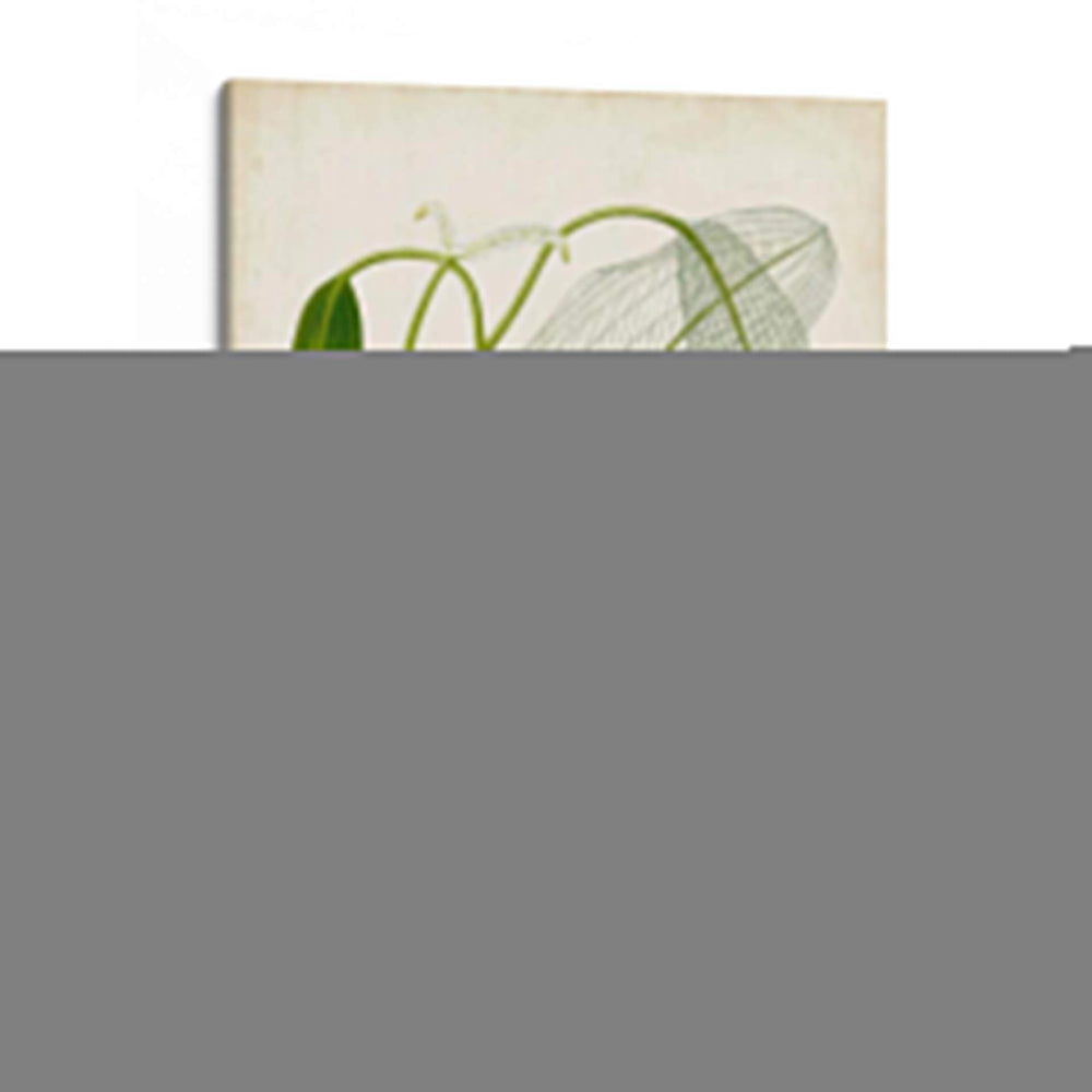 Hierba Tropical II - Vision Studio | Cuadro decorativo de Canvas Lab