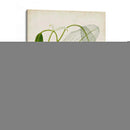 Hierba Tropical II - Vision Studio | Cuadro decorativo de Canvas Lab