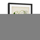 Hierba Tropical II - Vision Studio | Cuadro decorativo de Canvas Lab