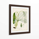 Hierba Tropical II - Vision Studio | Cuadro decorativo de Canvas Lab