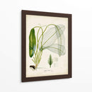 Hierba Tropical II - Vision Studio | Cuadro decorativo de Canvas Lab