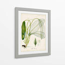 Hierba Tropical II - Vision Studio | Cuadro decorativo de Canvas Lab
