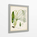 Hierba Tropical II - Vision Studio | Cuadro decorativo de Canvas Lab