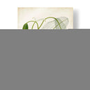 Hierba Tropical II - Vision Studio | Cuadro decorativo de Canvas Lab