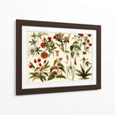Botánica Tropical Gráfico II - Meyers | Cuadro decorativo de Canvas Lab