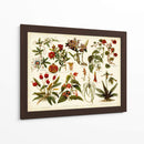 Botánica Tropical Gráfico II - Meyers | Cuadro decorativo de Canvas Lab