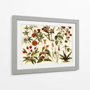 Botánica Tropical Gráfico II - Meyers | Cuadro decorativo de Canvas Lab