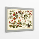 Botánica Tropical Gráfico II - Meyers | Cuadro decorativo de Canvas Lab